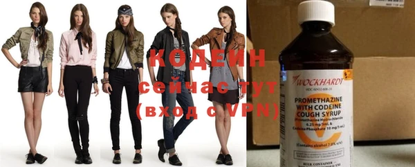 шишки Бронницы