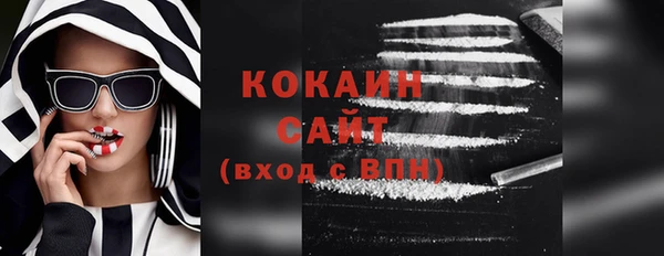 шишки Бронницы